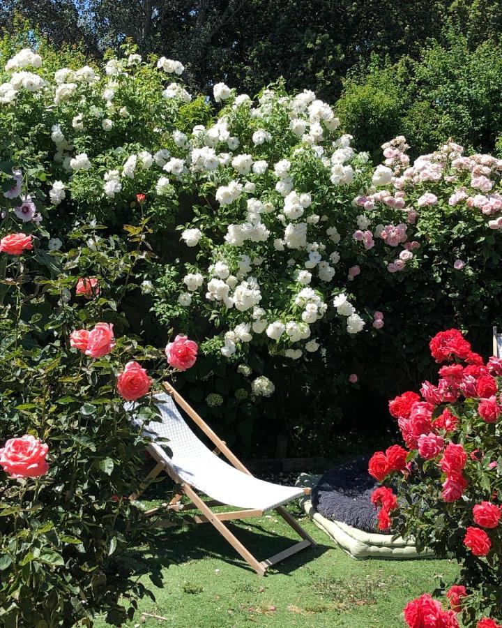 Lulu En Provence Bed & Breakfast L'Isle-sur-la-Sorgue Exterior photo